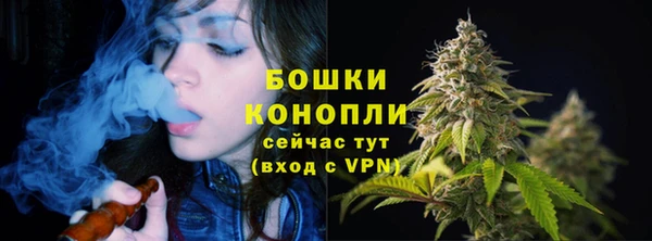 бошки Алексин