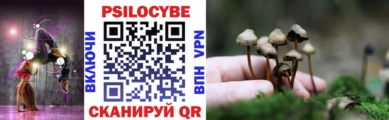 магазин продажи   blacksprut ONION  Галлюциногенные грибы мухоморы  Николаевск-на-Амуре 